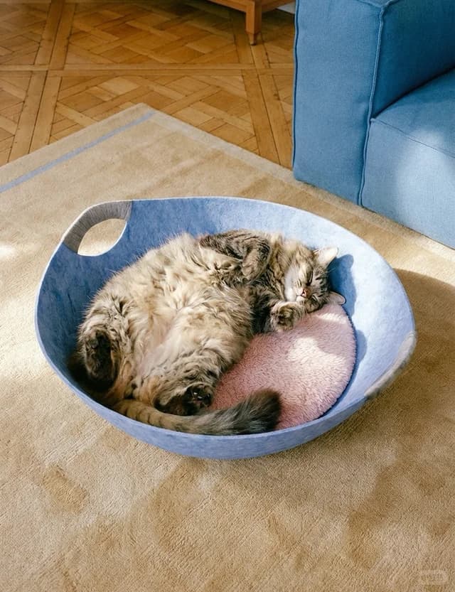 Bowl Cat Bed
