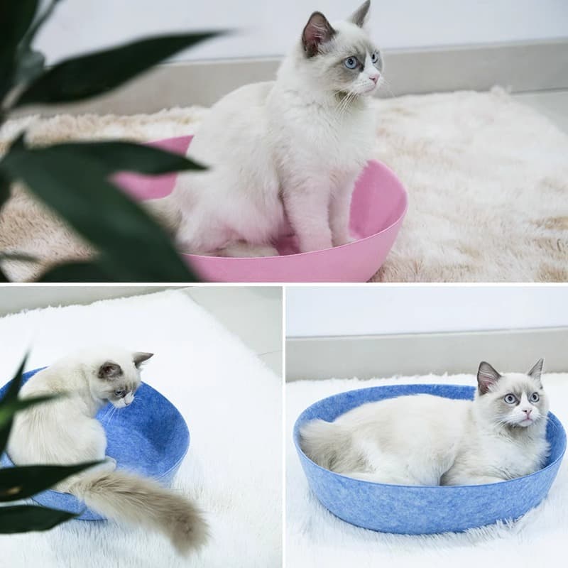 Best Modern Cat Beds for Small Apartments (2026 Buyer's Guide)