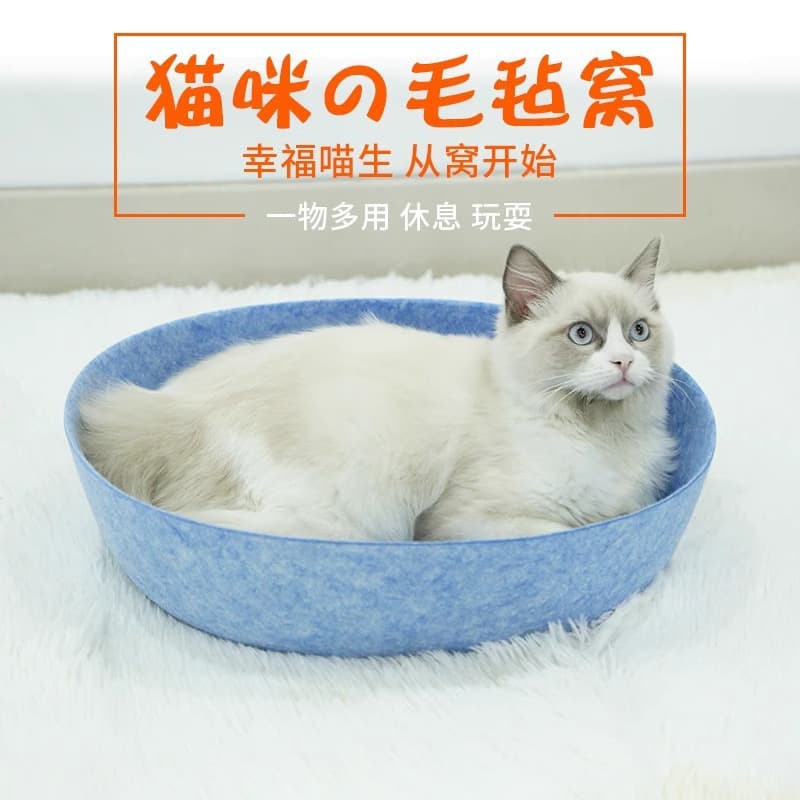 How to Get Your Cat to Actually Use a New Bed (A Behavioral Approach)