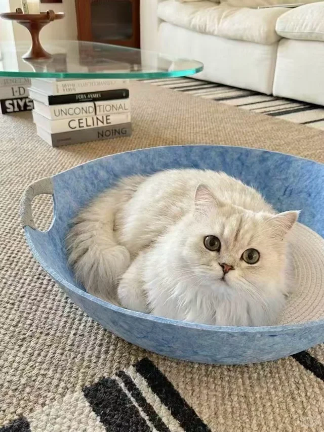 Bowl Cat Bed 2